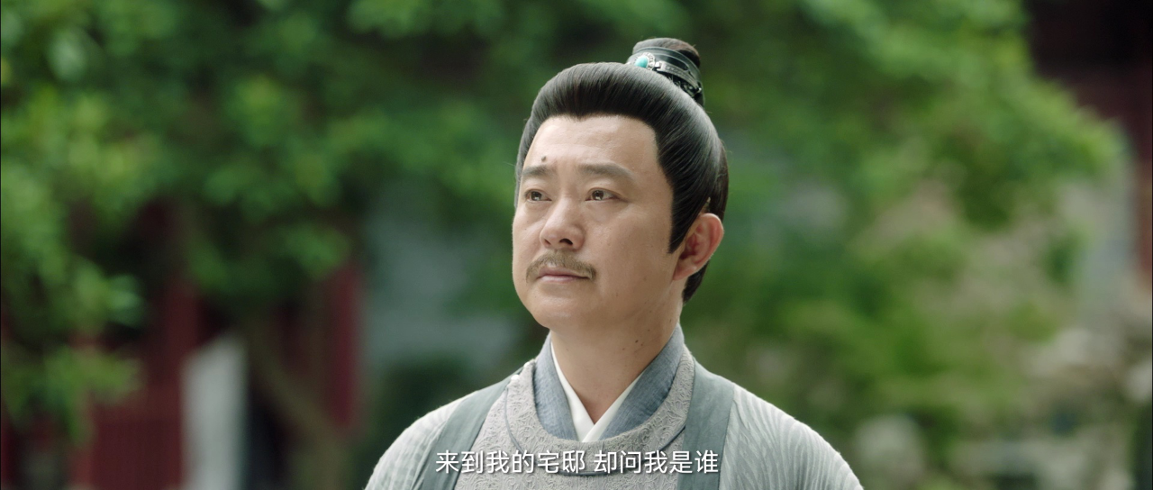 大宋有奇案 12集