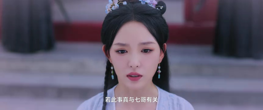 涅槃郡主 17集
