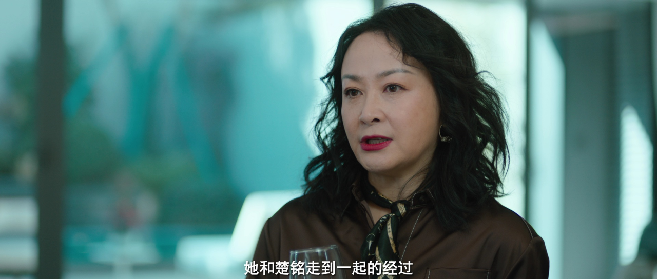丽人归来 18集