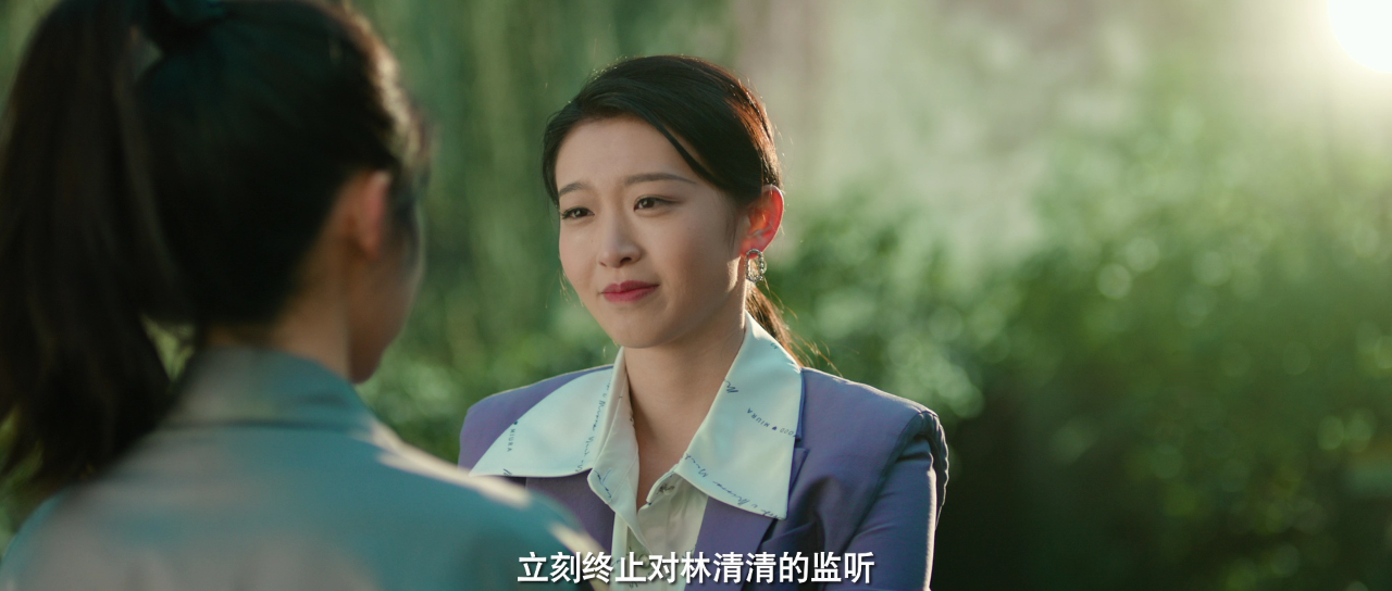 丽人归来 9集