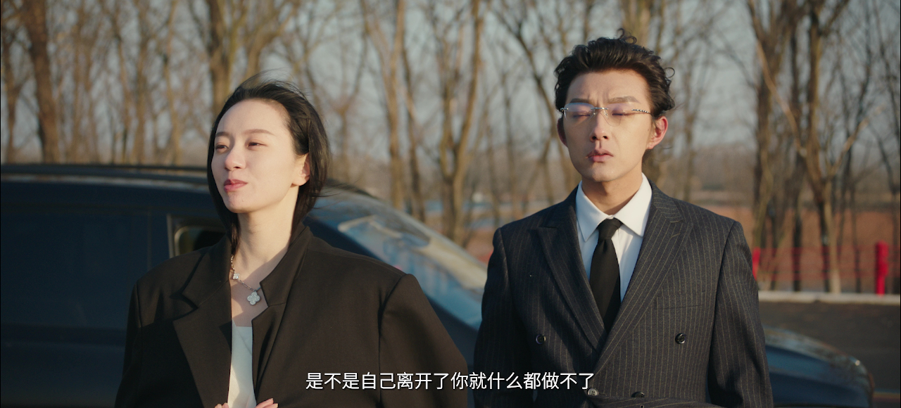 作为替身的她 15集