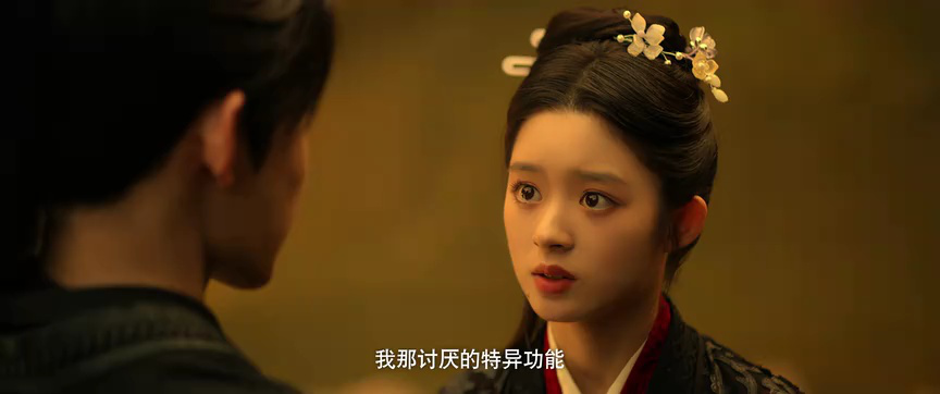 借宁安 20集