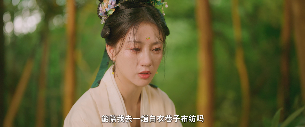 暗渡春华 13集