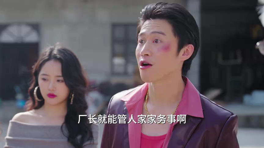 望母成凤 12集