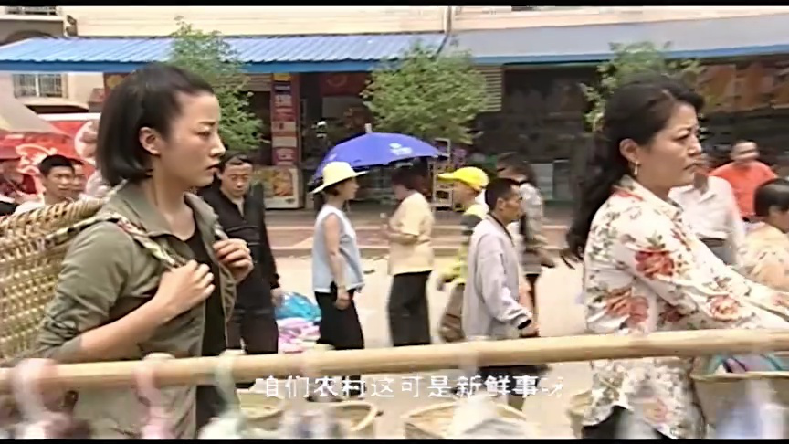 天下农民 15集