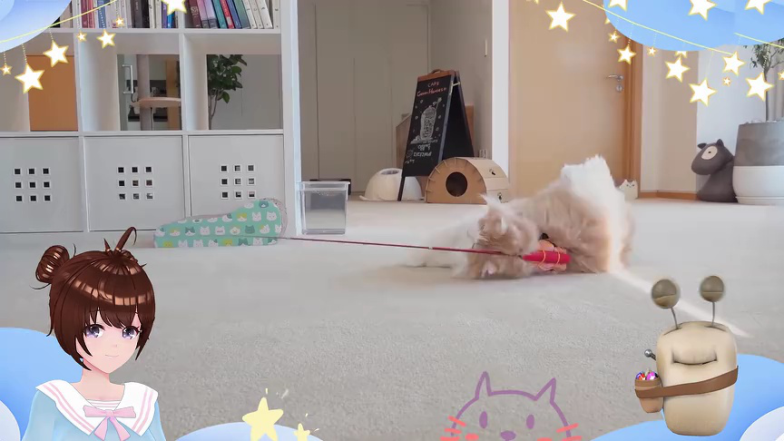 白白侠的猫咪朋友 143集