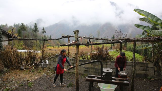 陕西镇坪山村:农妇家在仙境里,深山采来橡子,做出美味橡子豆腐