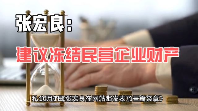 张宏良:建议冻结民营企业财产