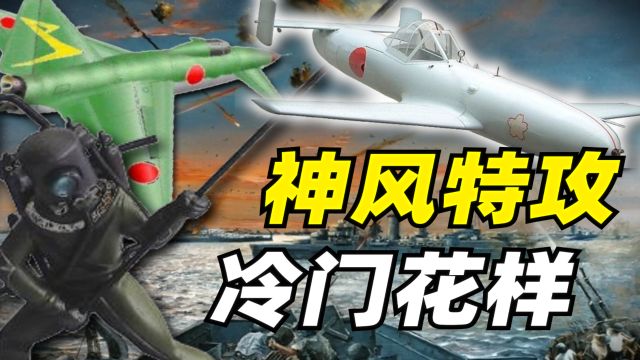 【军百科】寻死玩出N种花样?日本的“神风”特攻,有啥冷门装备