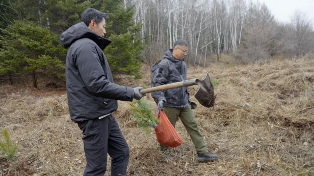 东北为啥是公认的“宝地”?黑土地根本不用施肥,老天爷帮着养