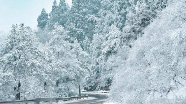 一夜之间,天台华顶国家森林公园变成了雪世界