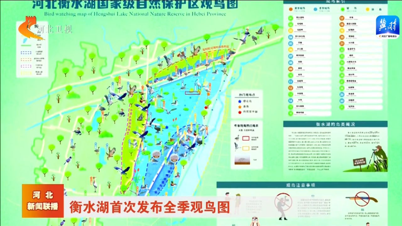 衡水湖首次发布全季观鸟图