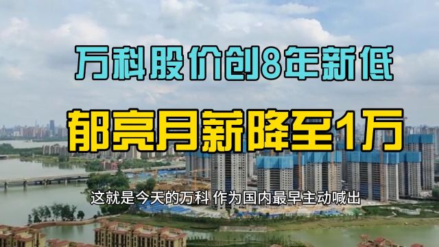 万科股价创8年新低,郁亮月薪降至万元