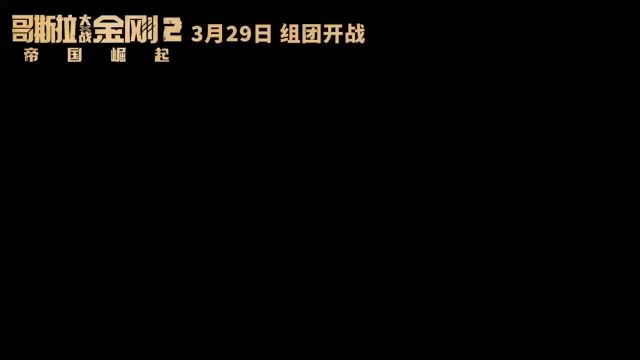 从头嗨到尾,不愧是顶级爽片!