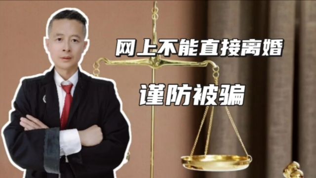 济南律师聊城泰安济宁律师,网上可以直接离婚吗