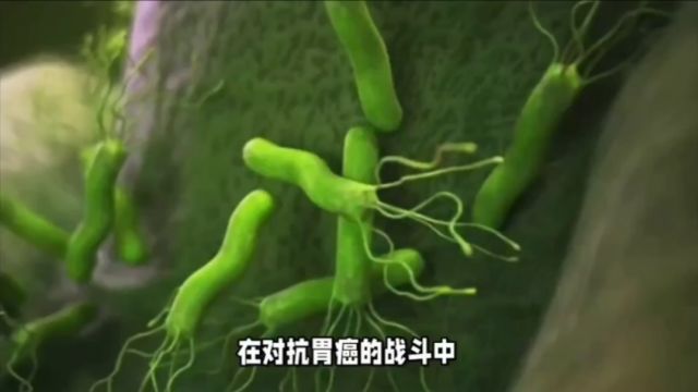 香港中文大学最新cell研究揭示:胃癌的“新嫌疑人”