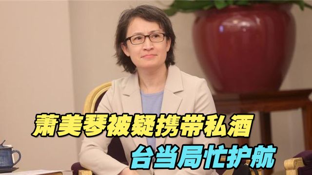 萧美琴被疑携带私酒,台当局忙护航,刘匡宇:害怕其背后美国势力