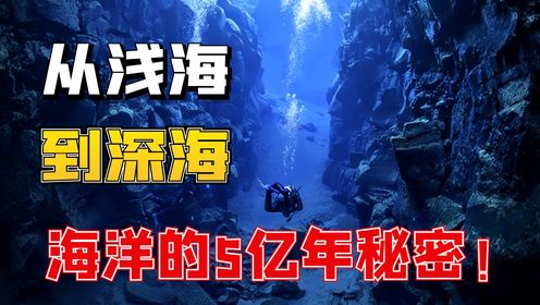 从浅海到深海，为什么人类只探索了海洋的5%？海洋的5亿年秘密！_高清1080P在线观看平台_腾讯视频