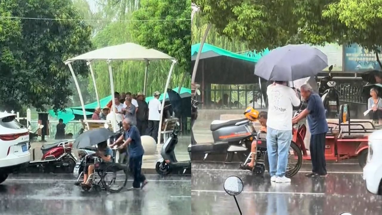 被一个视频感动了两次!男子雨中为俩老人送伞,镜头一转爷爷的伞全遮在了奶奶身上_高清1080P在线观看平台_腾讯视频