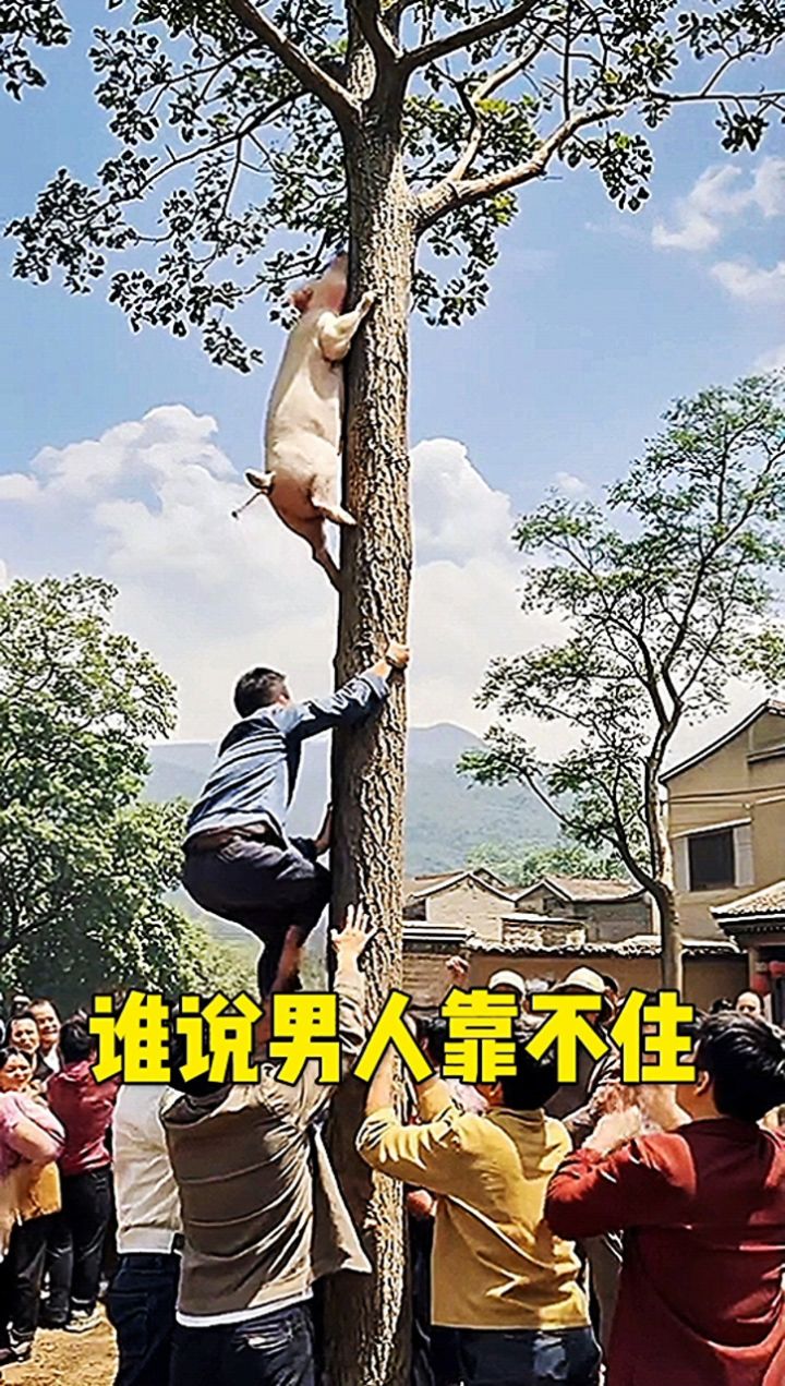 谁说男人靠不住?