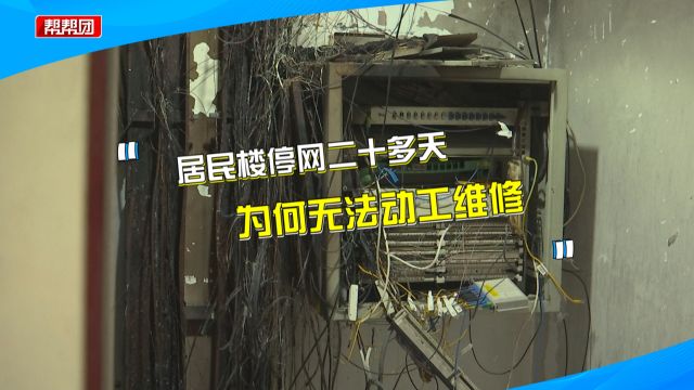 楼栋断网20多天 运营商欲维修却遭阻挠?物业:需提供完善方案