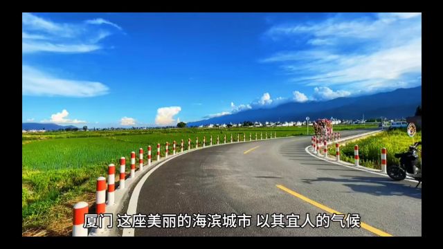 厦门租车自驾游攻略