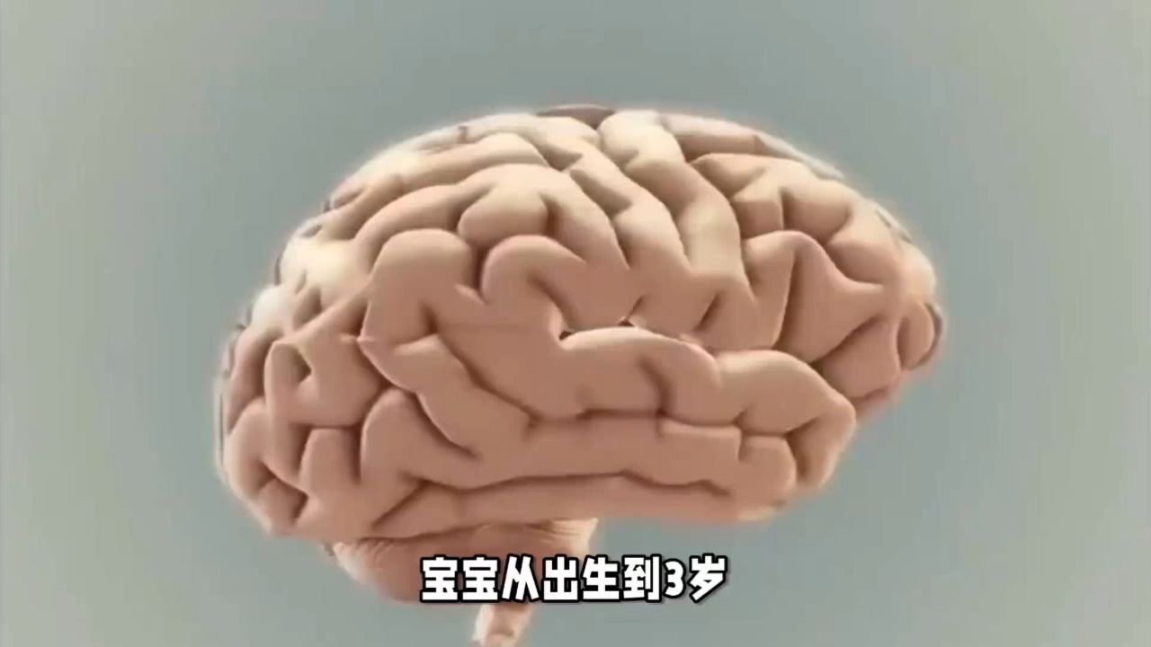 美贊臣鉑睿在寶寶大腦發育黃金期,讓寶寶聰明度更上ui