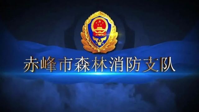 下沉一线摸实情 以检促训提质效 | 内蒙古森林消防总队严密组织训练监察工作