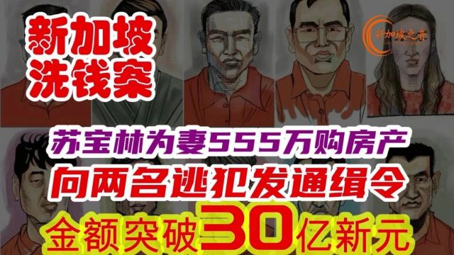 新加坡最大洗钱案,涉案金额冲破30亿,苏宝林为妻子豪掷555万购乌节路三产业.已向另外两名逃犯发红色通缉令