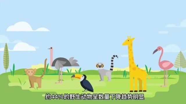 环保科普丨生物多样性的自然之道