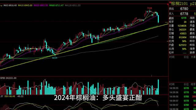 2024年棕榈油:多头盛宴正酣