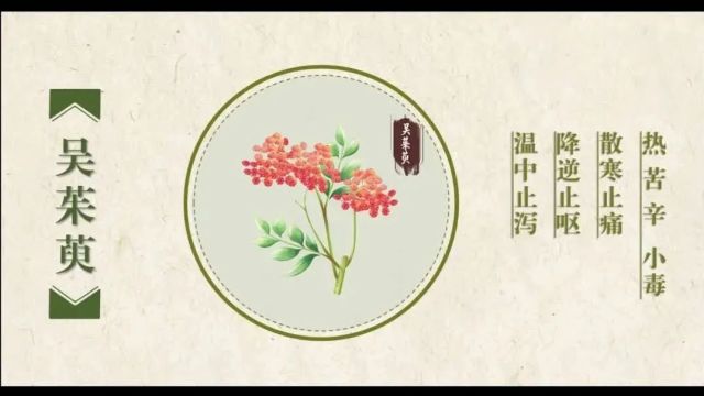 【说医解药6】遍插茱萸医游子