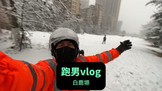 鹅毛大雪送单上白鹿塬是种怎样的体验?