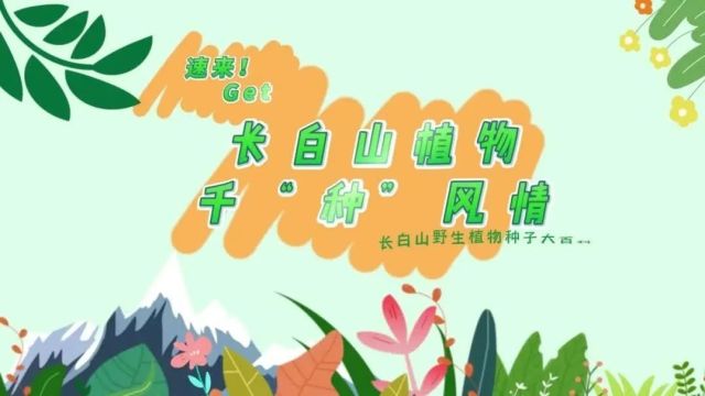 探秘!长白山植物千“种”风情~广布野豌豆