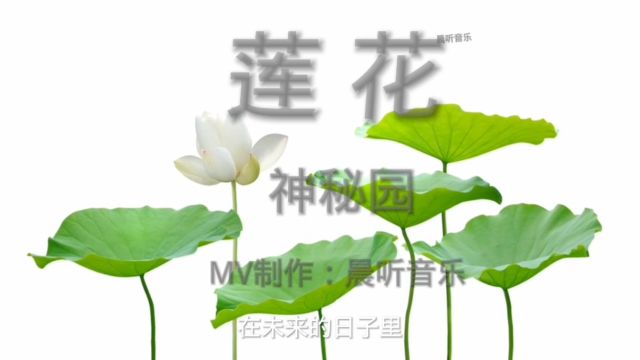 神秘园与卞留念的天合之作《莲花》