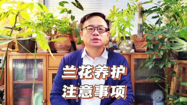 兰花的养殖方法和注意事项,古人总结了“四戒”,现在有“4不”