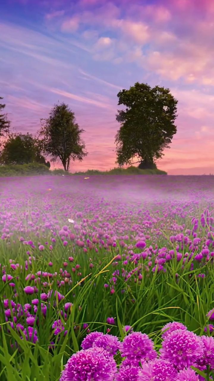 旅途风光:这么优美的风景,你想去看吗?