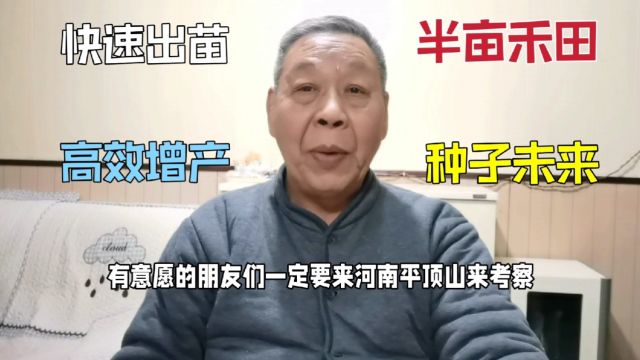 62.半亩禾田种子技术引领未来,抗旱涝不打农药,出苗快高效增产