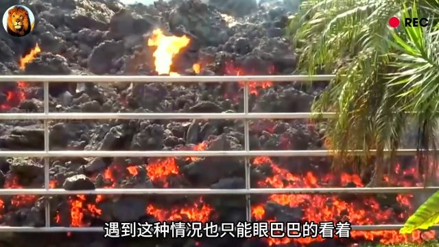 火山爆发,所过之处寸草不留!