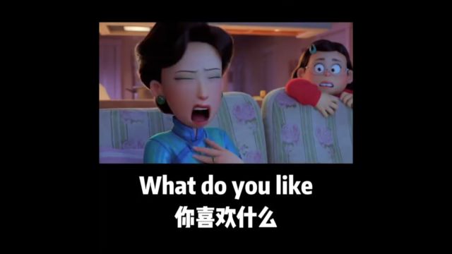 每日英语口语练习What do you like你喜欢什么