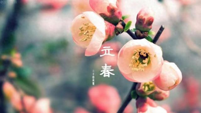 立春时节诗五首:暖意盈怀,万朵诗花入梦来