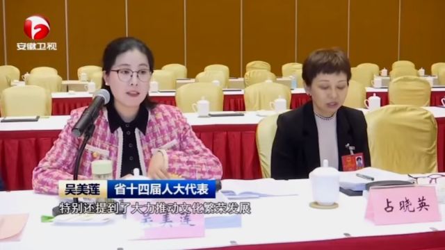 黄梅戏名家、省人大代表吴美莲,在两会上做专题发言.