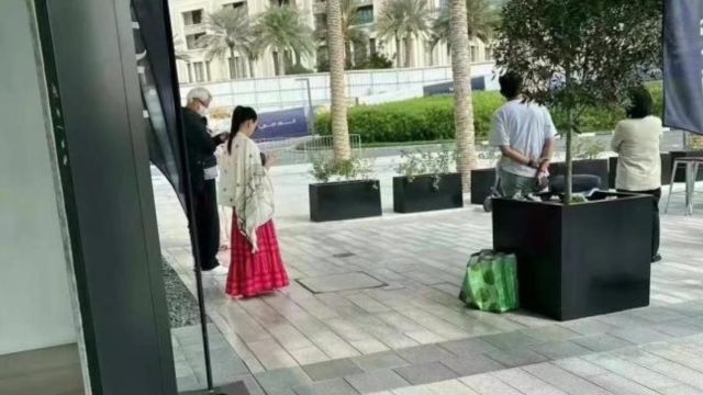 张庭夫妇名下企业达上百家