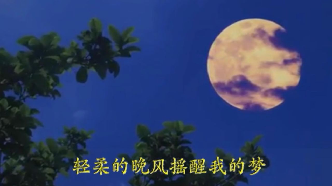 霓裳演唱《月色朦胧》