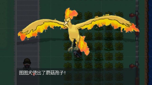 火焰鸟来袭,2月5月8月11月【pokemmo】宝可梦手游神兽