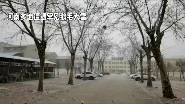 河南多地遭遇罕见鹅毛大雪