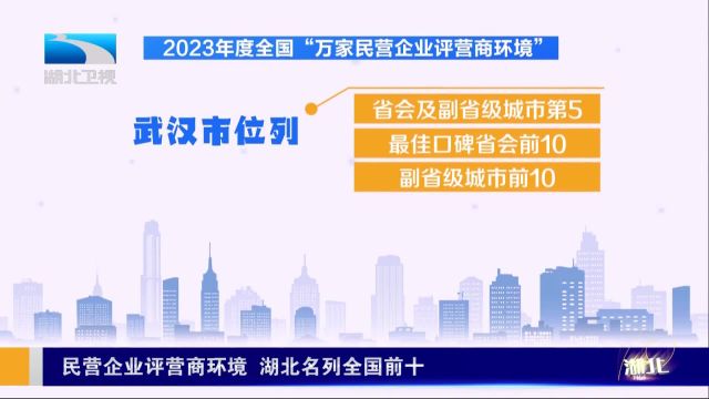 民营企业评营商环境 湖北名列全国前十