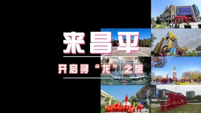 龙行龘龘!来昌平,开启寻“龙”之旅~