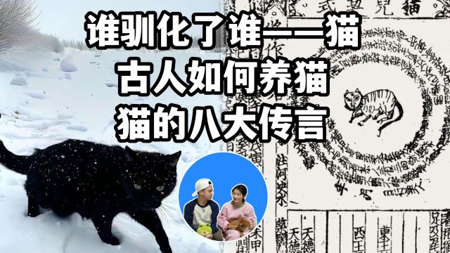 谁驯化了谁&古人如何养猫&猫的八大传言