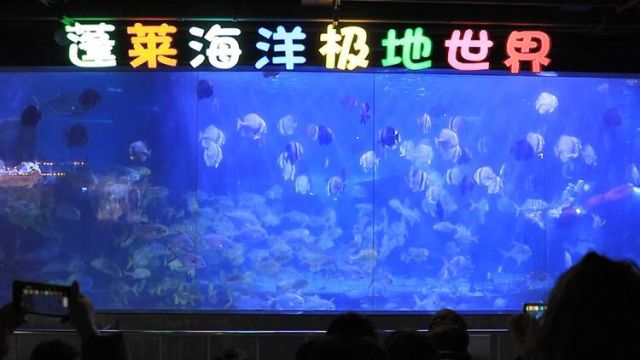 烟台市蓬莱区:水下金龙舞 新春送祝福